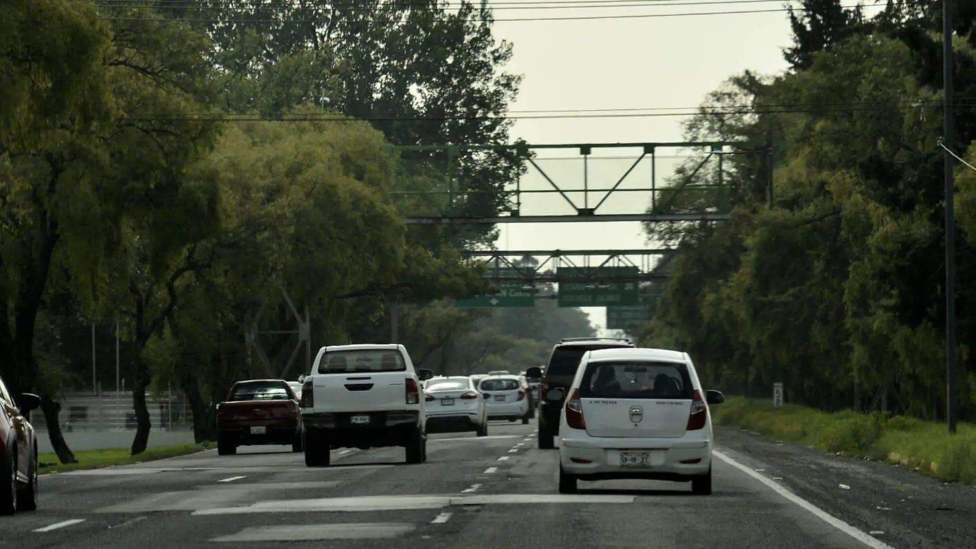 paseo Tollocan 